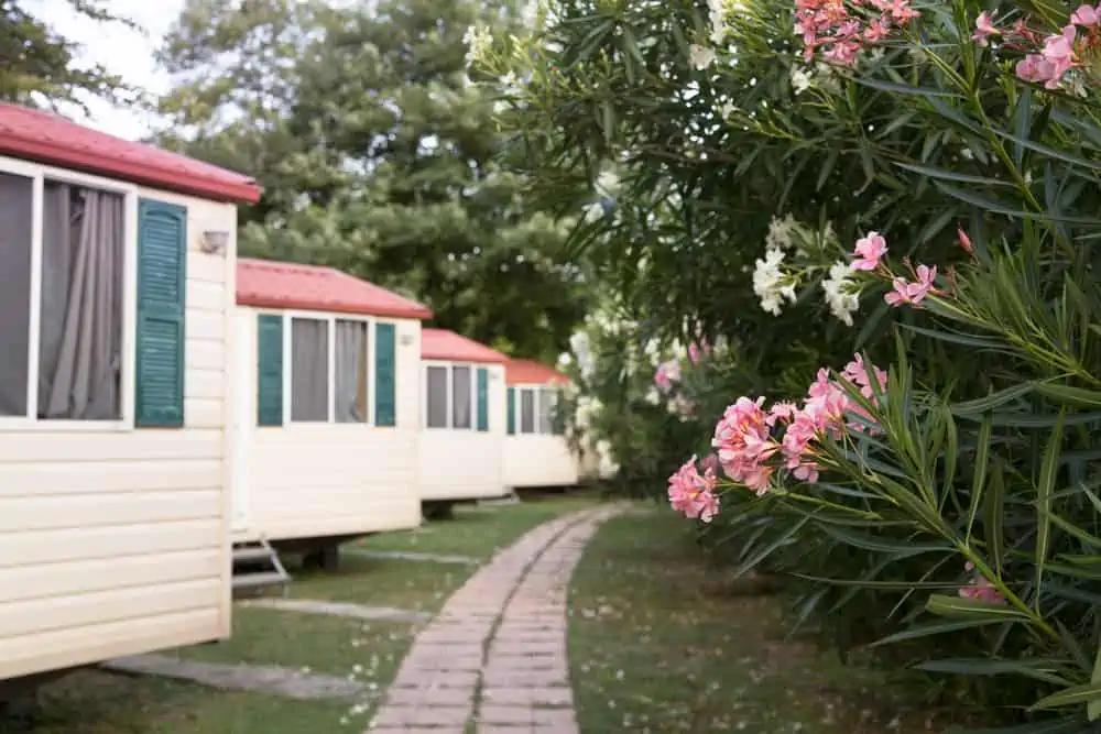 Chalet houses in a garden